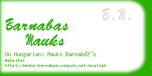 barnabas mauks business card